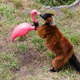 Image for article titled Lawn Ornaments Help Lemurs Stay Happy and Healthy